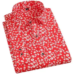 Red Checks Shirt        